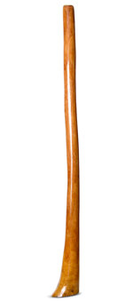 Gloss Finish Flared Didgeridoo (TW1210)